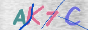 キャプチャ画像
