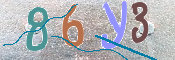 キャプチャ画像